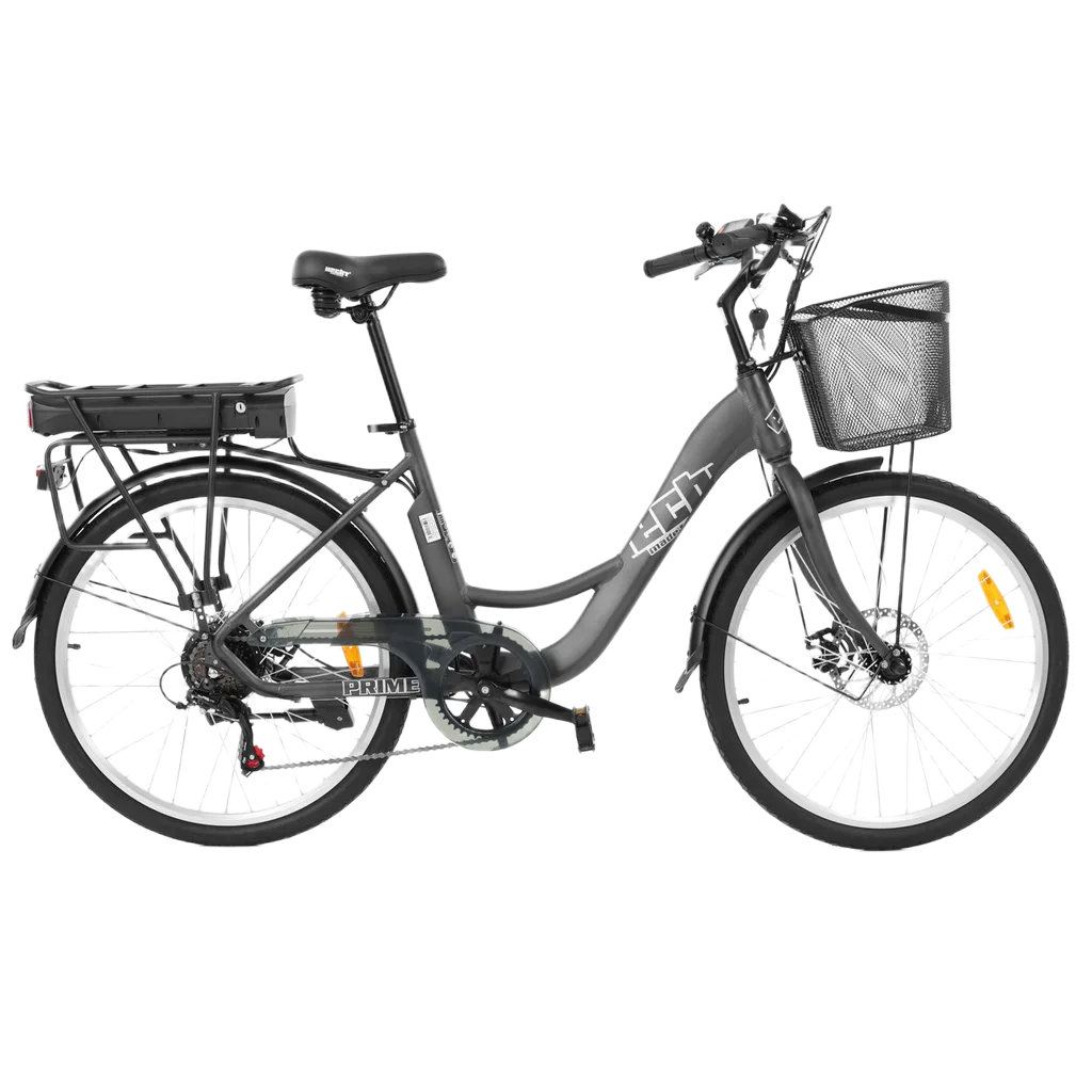 2× mestský elektrobicykel v štýle Amsterdam